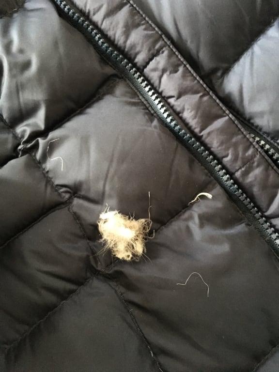 The amount of down that came out of one spot...no hole...just not a tight enough weave