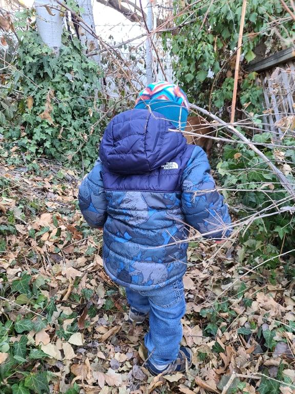 The North Face Mount Chimborazo Hooded Fleece Jacket - Toddler
