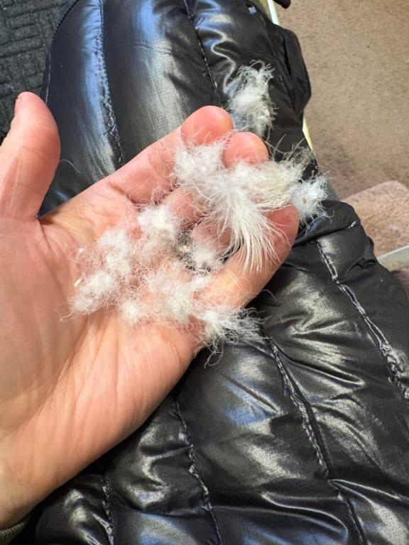 Photo submitted with review of product