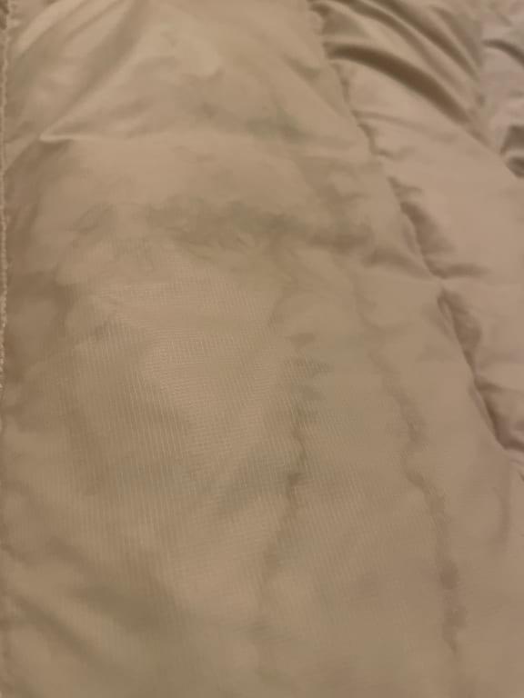 Review Thumbnail Image 1 244786434