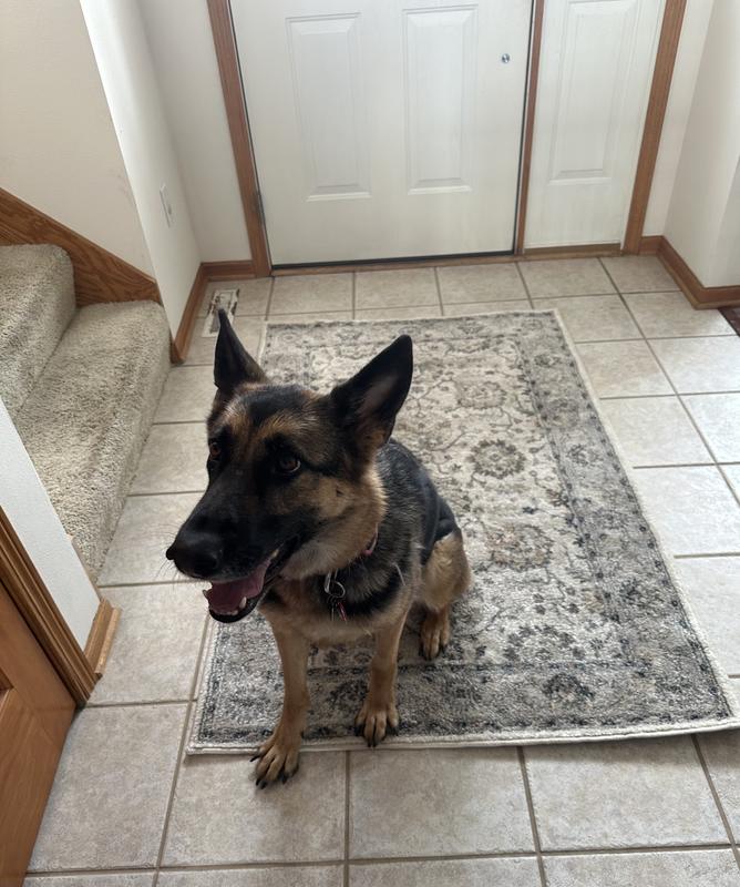 Fits perfectly in this entryway.
