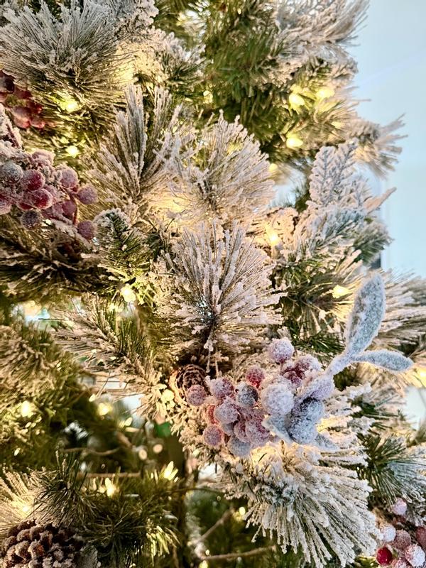 Photo from jd1004_8009