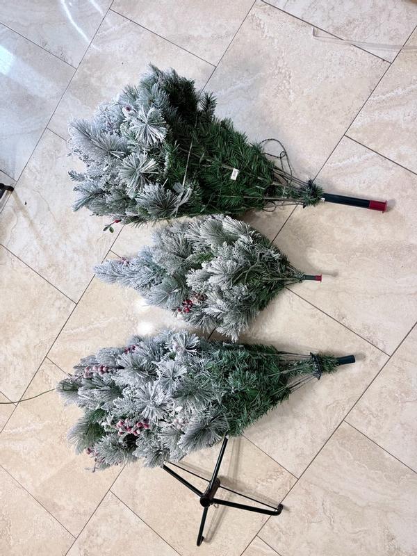 Photo from jd1004_8009