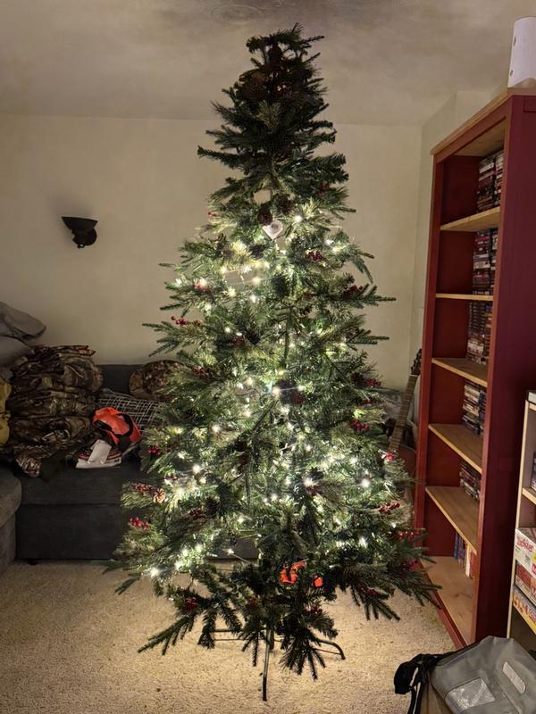 Photo from melissac1081_6502