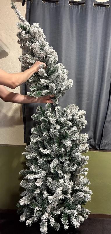 Photo from benj12_9818