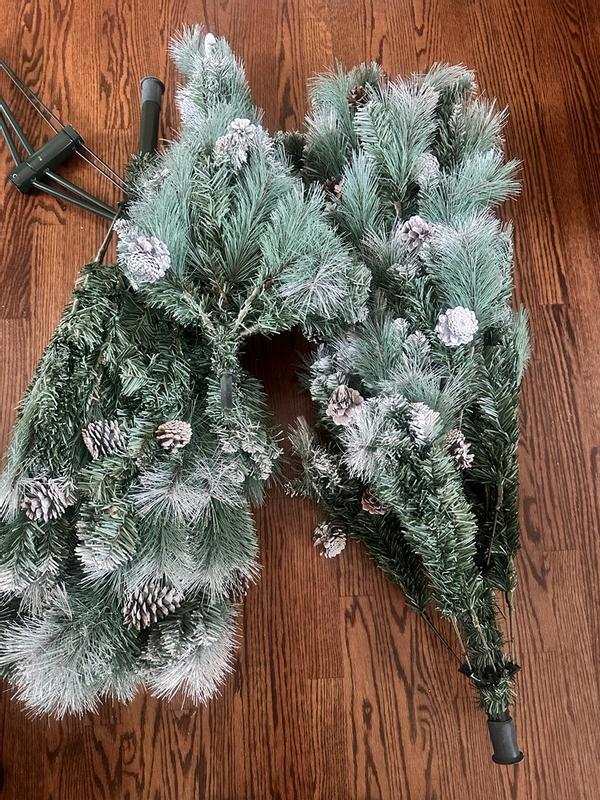 Photo from jimmyg5_7258