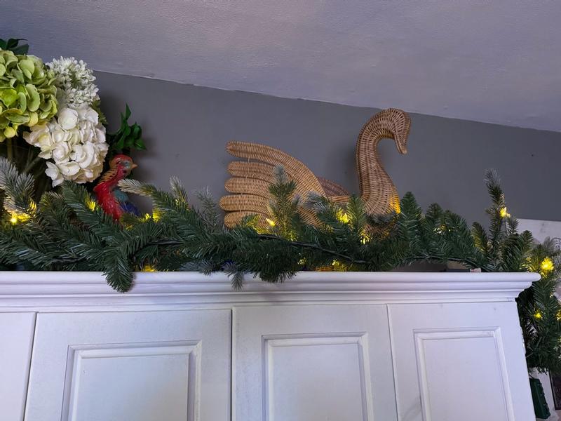National Tree Company Indoor/Outdoor Pre-lit Battery 9-ft Fir ...