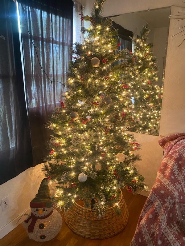 Photo from External reviewer