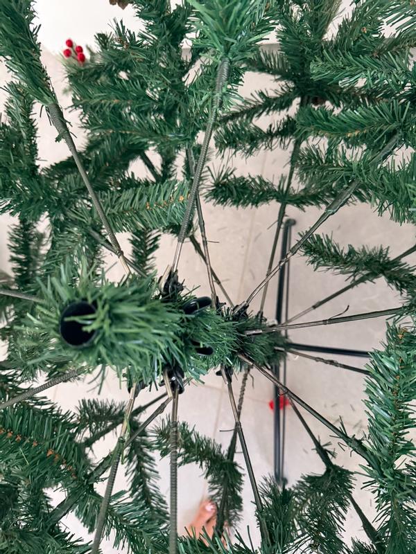 Photo from adrriii_4106