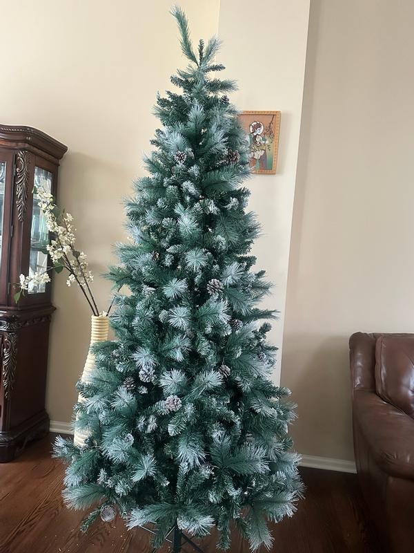 Photo from jimmyg5_7258