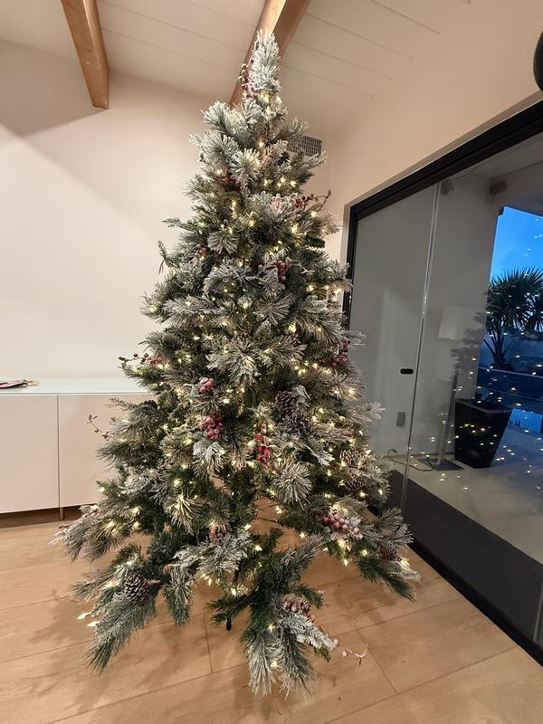 Photo from antonellareviews_397