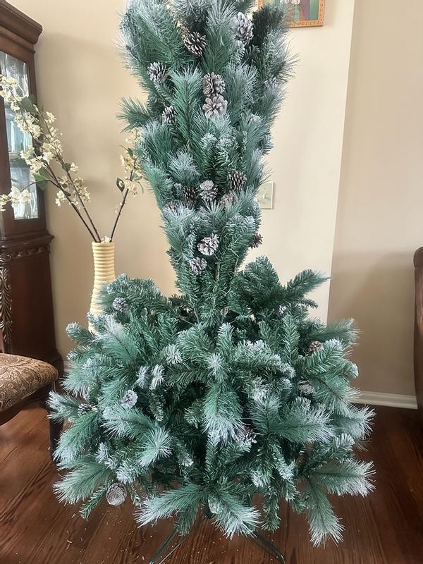 Photo from jimmyg5_7258