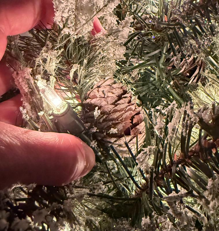 Photo from glarby3434_1317