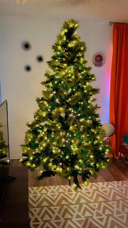 Photo from bearsandtacos_3990