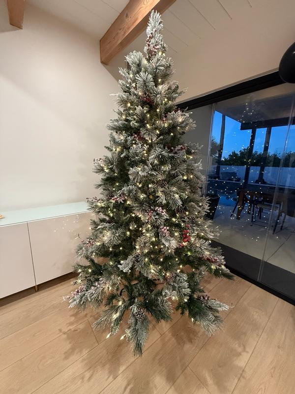 Photo from antonellareviews_397