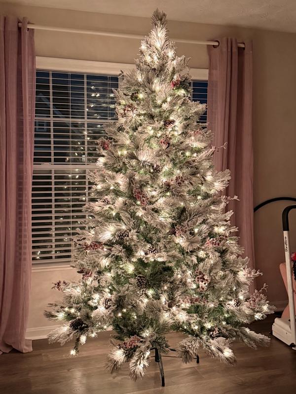 Photo from alanapaige21_2668