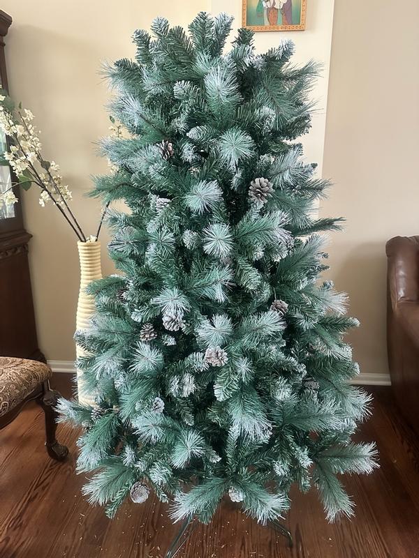 Photo from jimmyg5_7258