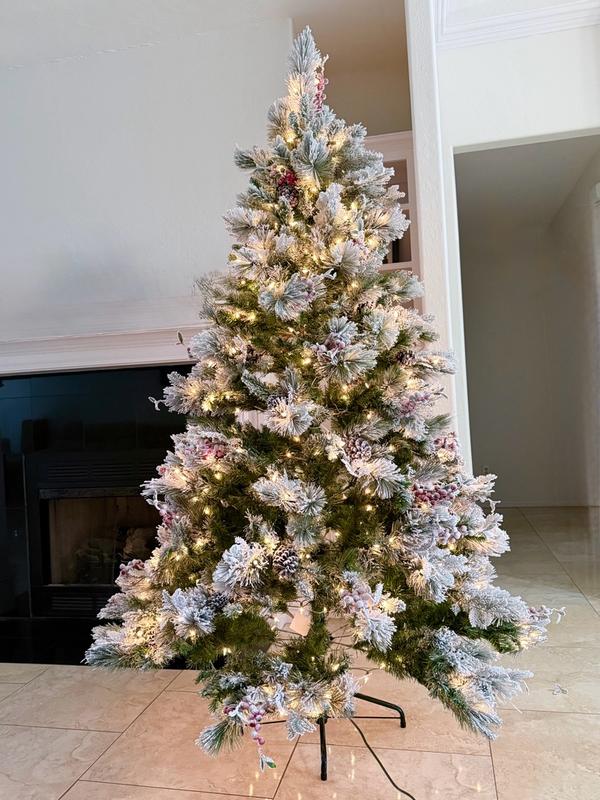 Photo from jd1004_8009