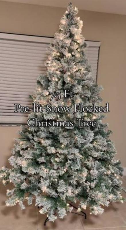 Photo from sarlou86_9000