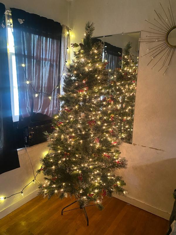 Photo from External reviewer