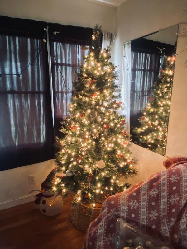 Photo from External reviewer