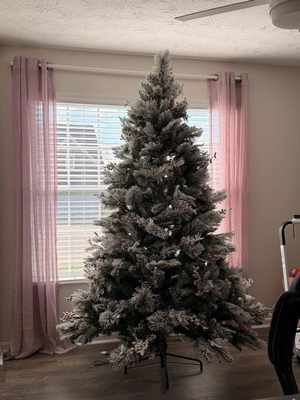 Photo from alanapaige21_2668