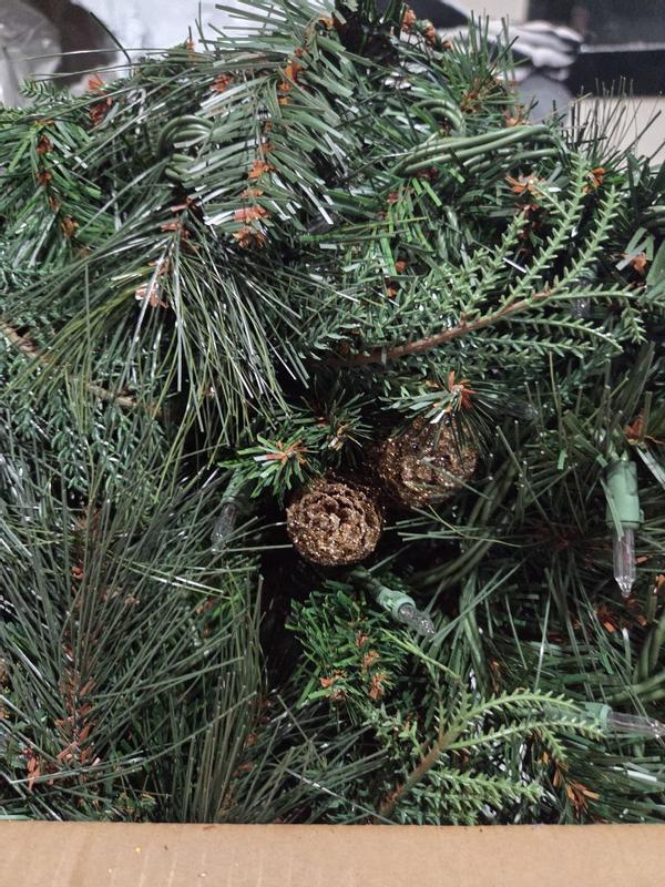 Photo from tmgregory6_646