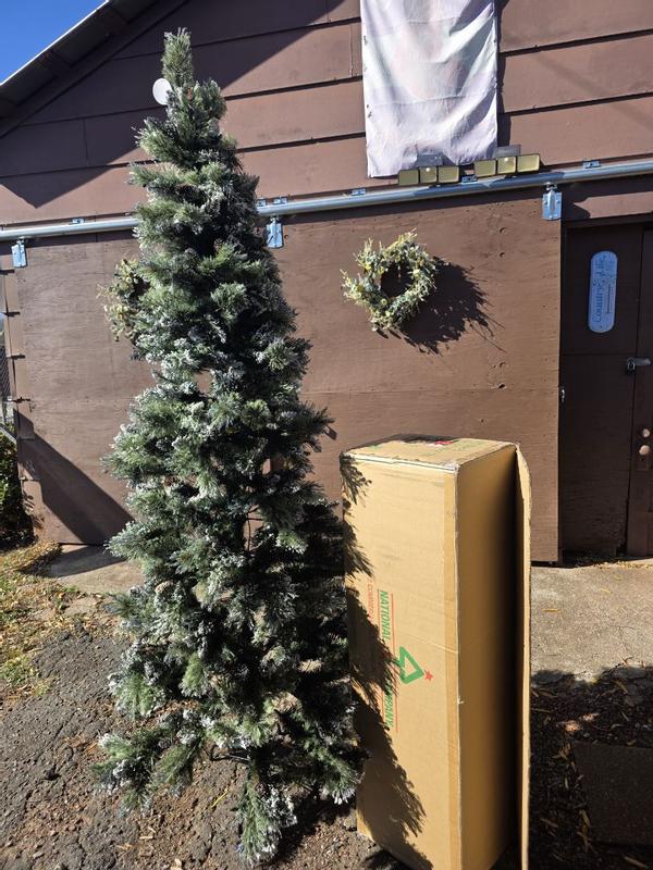 Photo from mabek336_4239