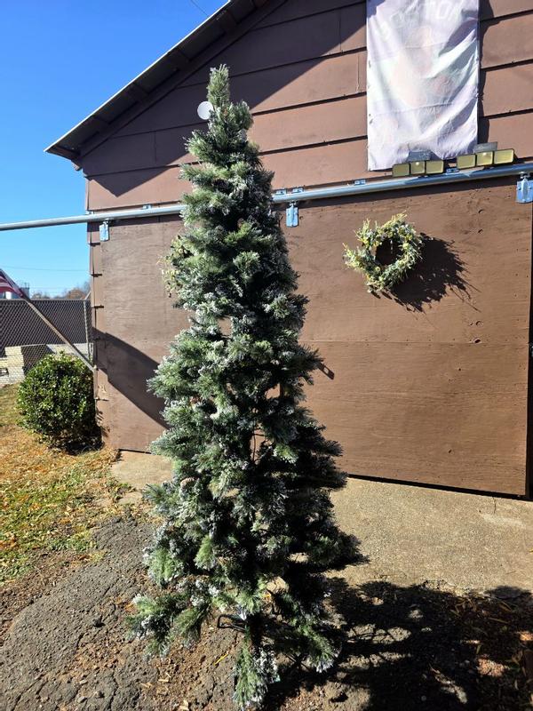 Photo from mabek336_4239