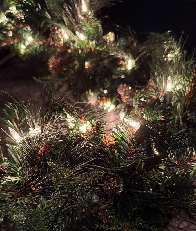 Photo from camari86_4304