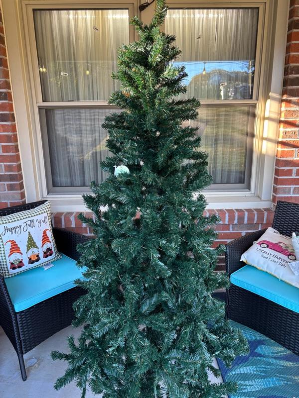 Acacia Pre-lit Christmas Tree with 300 Clear Incandescent or Multicolor Lights, 6'