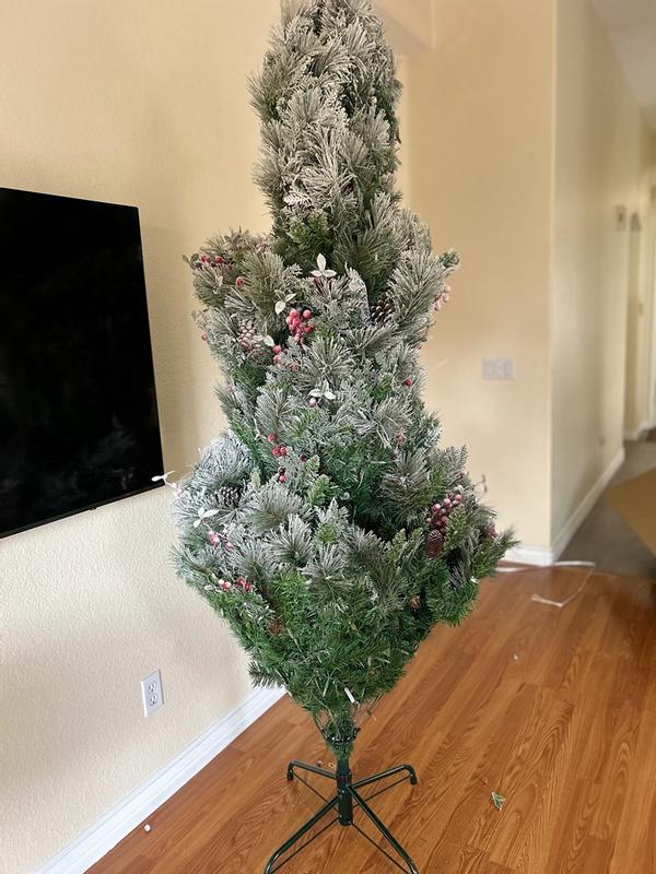 Photo from manizha9_8126