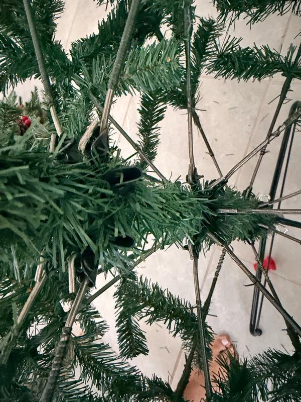 Photo from adrriii_4106