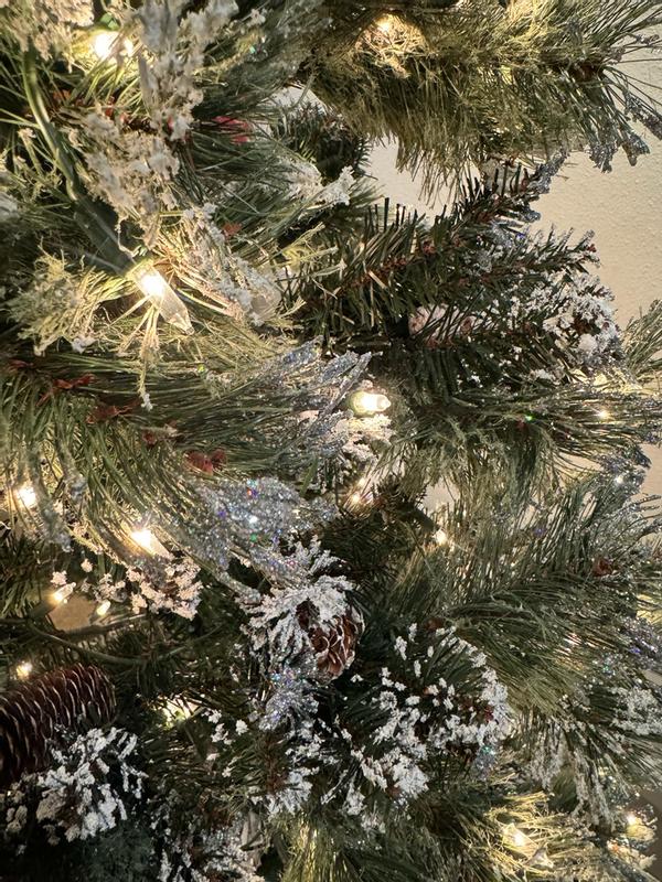 Photo from kaitier2_9185