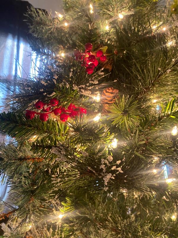 Photo from External reviewer