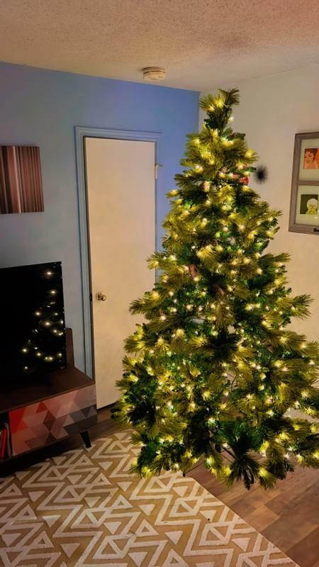 Photo from bearsandtacos_3990