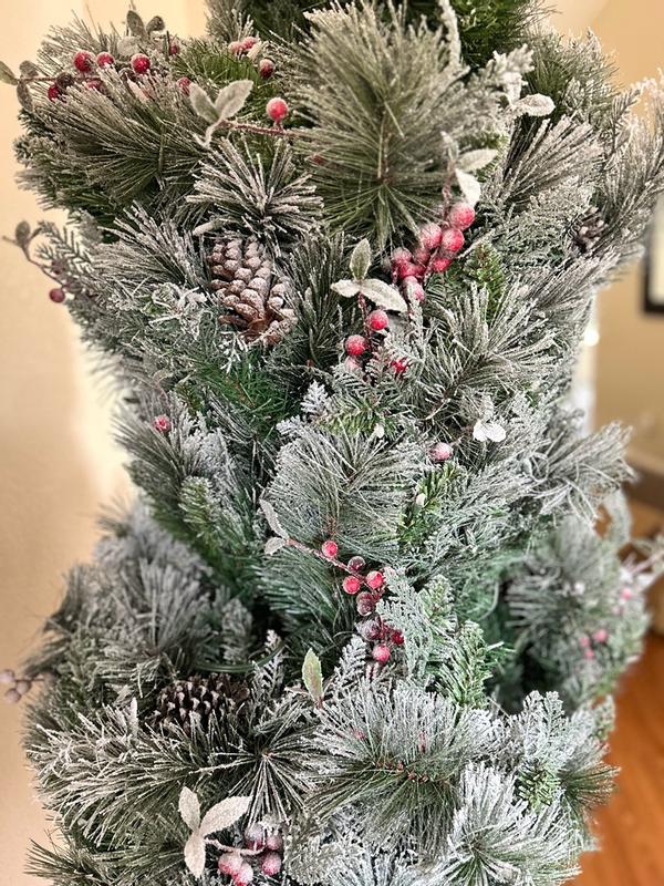 Photo from manizha9_8126