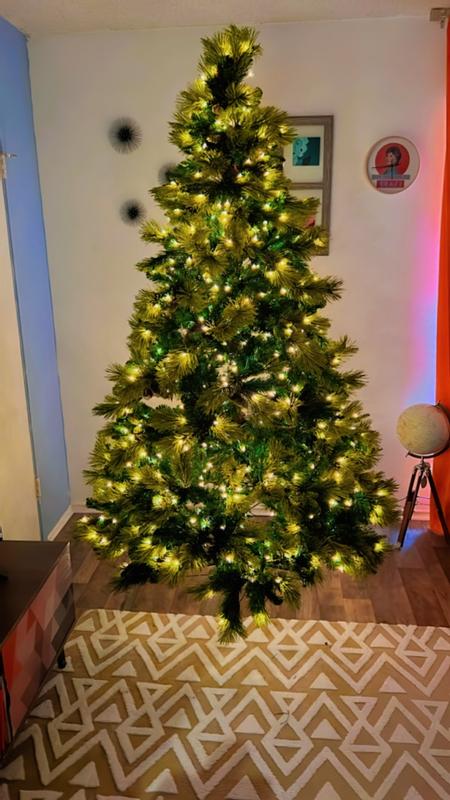 Photo from bearsandtacos_3990