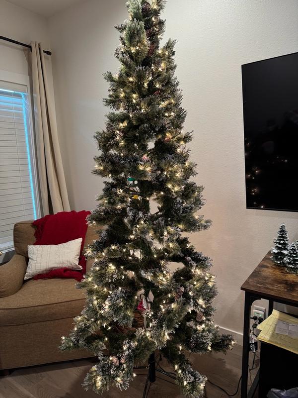 Photo from kaitier2_9185