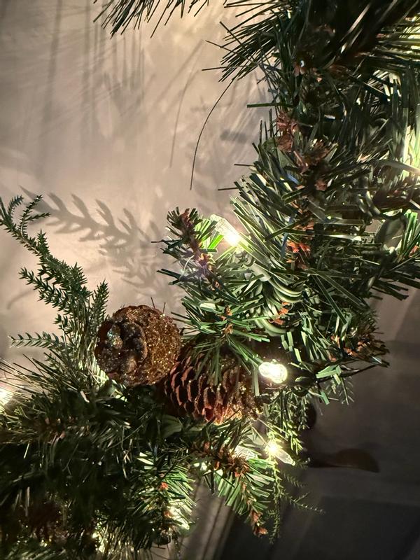 Photo from camari86_4304