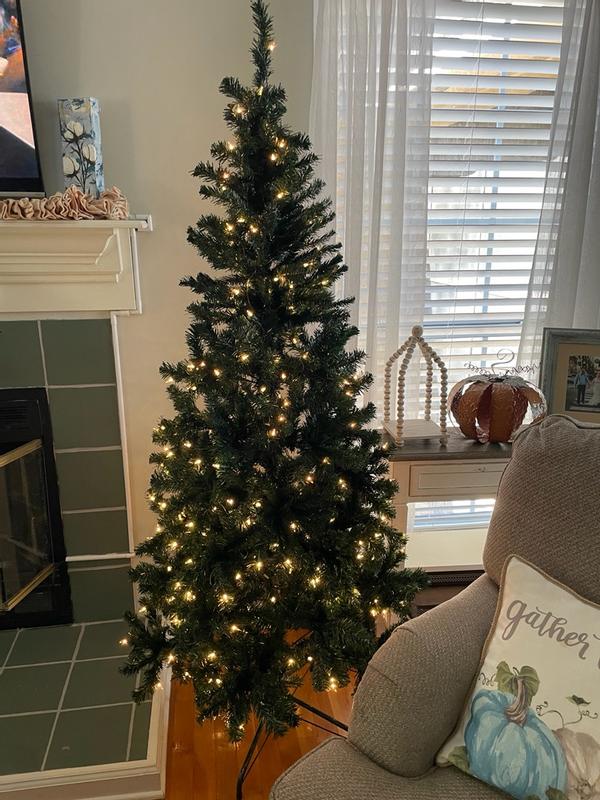 Acacia Pre-lit Christmas Tree with 300 Clear Incandescent or Multicolor Lights, 6'