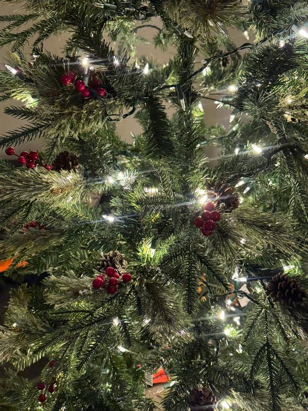 Photo from melissac1081_6502