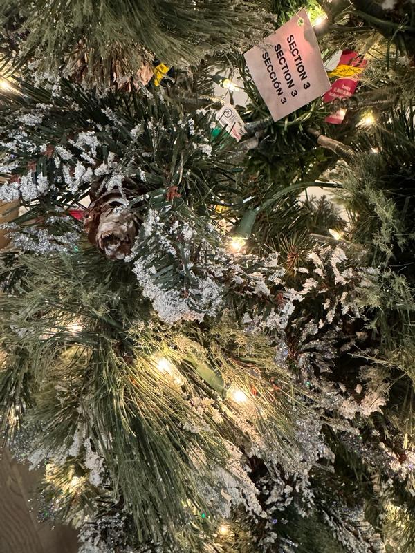 Photo from kaitier2_9185