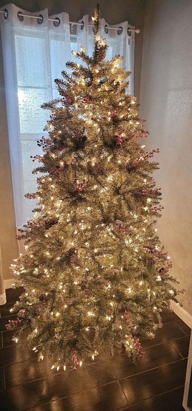 Photo from elcompa_4484