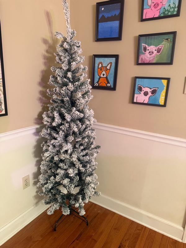 Photo from marya5_2866