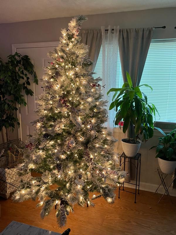 Photo from simplymzredd_3626