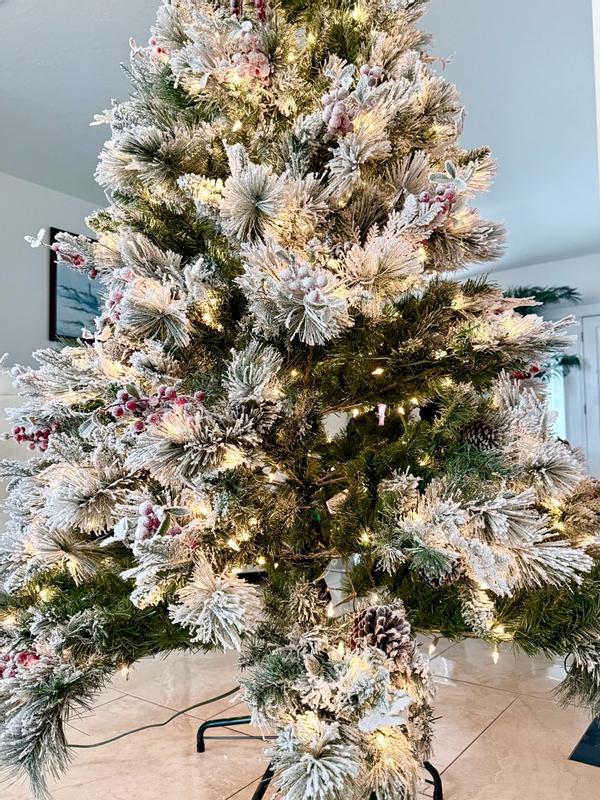 Photo from jd1004_8009