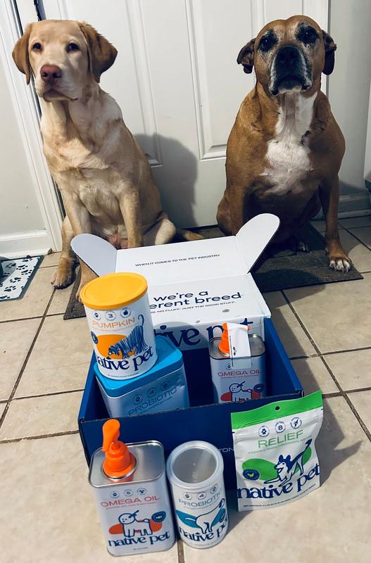 Native Pet Omega 3 Fish Oil To Support Skin & Coat Health Supplement