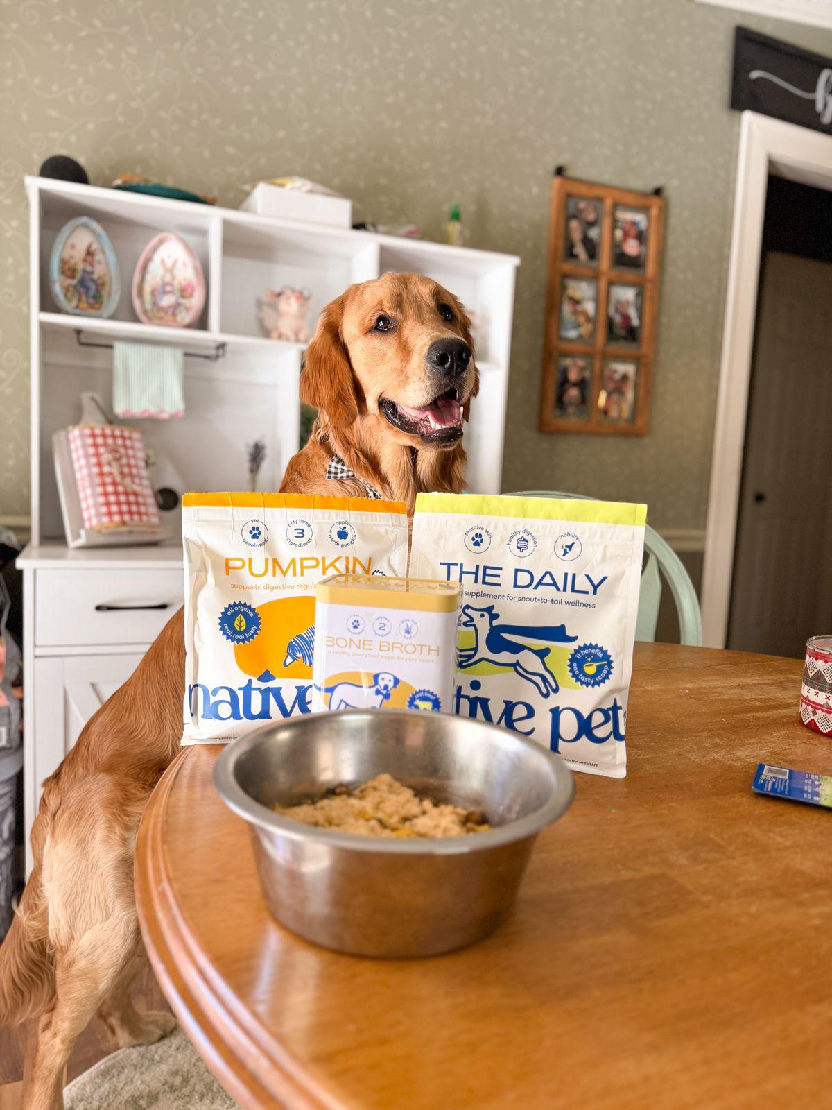 Dog Food Will Pumpkin Stop Diarrhea In Dogs Native Pet Is Pumpkin