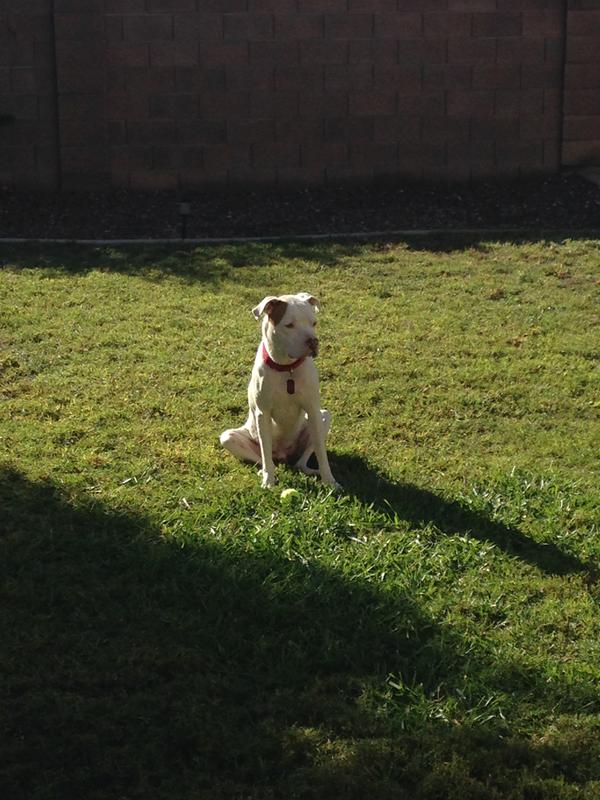 My Sweet Boy!
